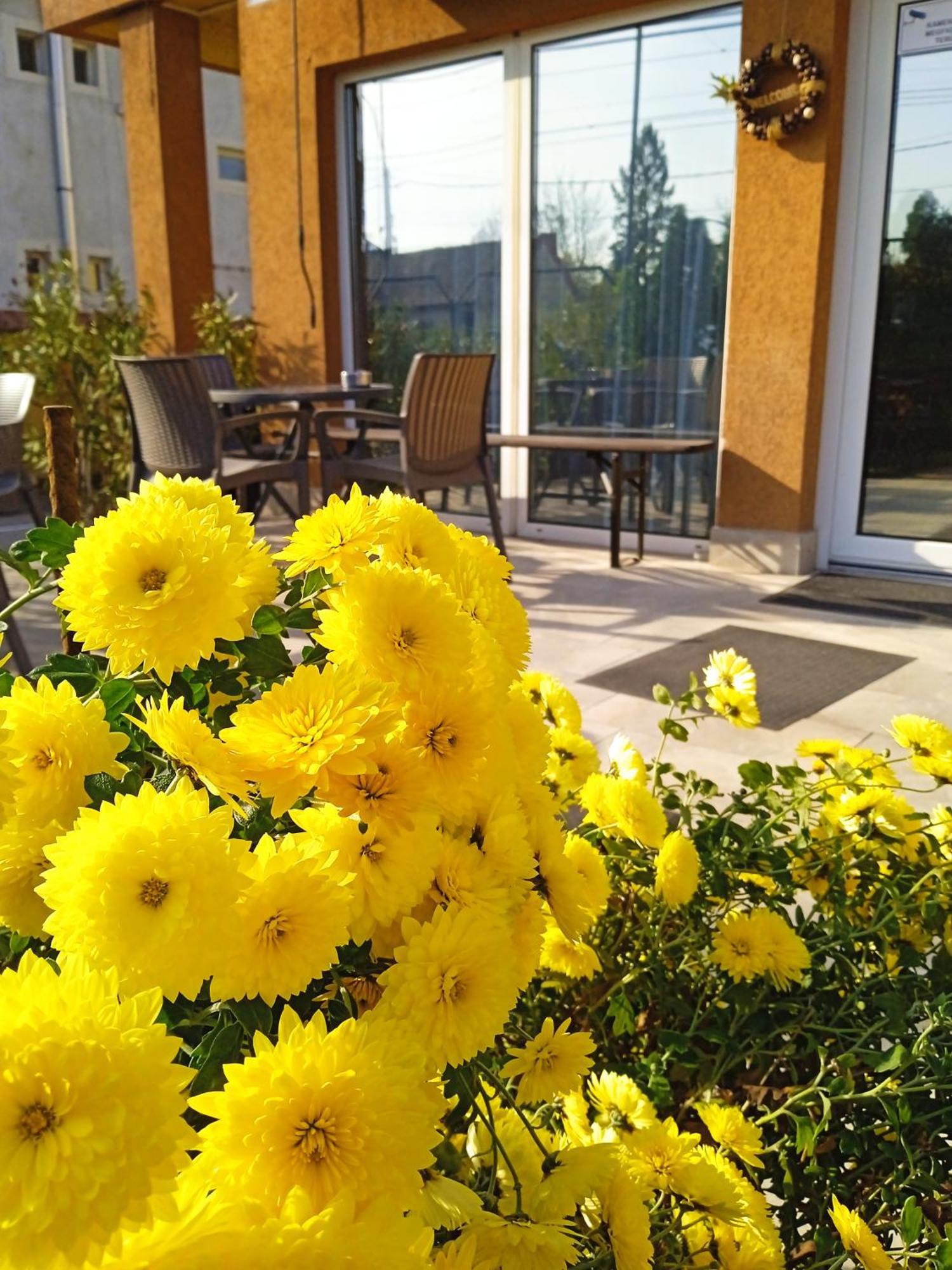 Alfred Panzio Bed and Breakfast Budapest Eksteriør billede